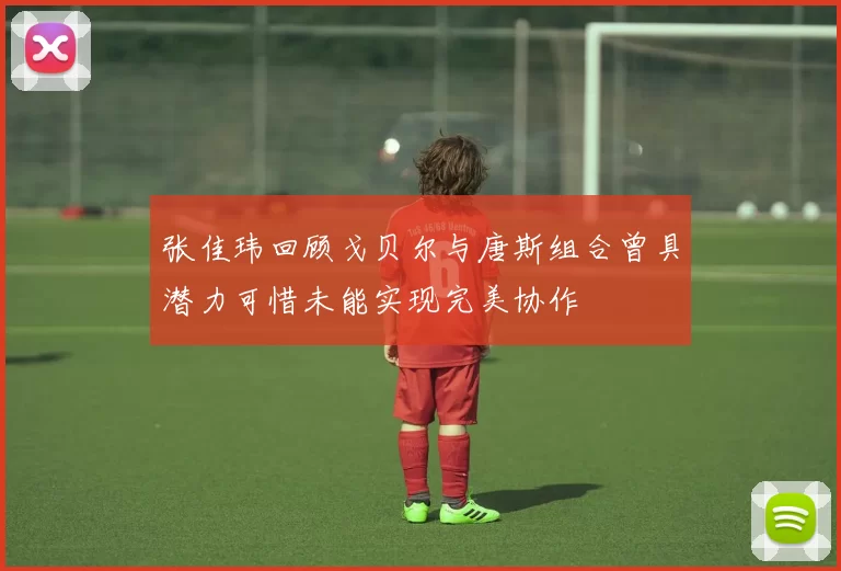 张佳玮回顾戈贝尔与唐斯组合曾具潜力可惜未能实现完美协作