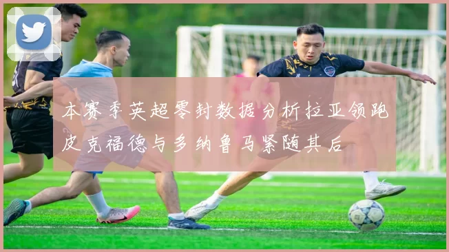 本赛季英超零封数据分析拉亚领跑皮克福德与多纳鲁马紧随其后