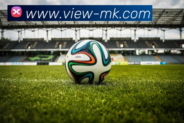 MK体育APP 封面图